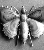 Georgian Agate Butterfly