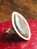 Fossilised Palmwood Navette