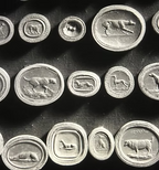 Georgian Greyhounds Seal