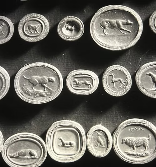 Georgian Greyhounds Seal