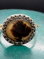 Moss Agate Tree