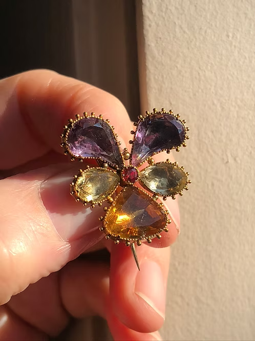 Georgian Pansy
