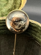 French Bulldog Essex