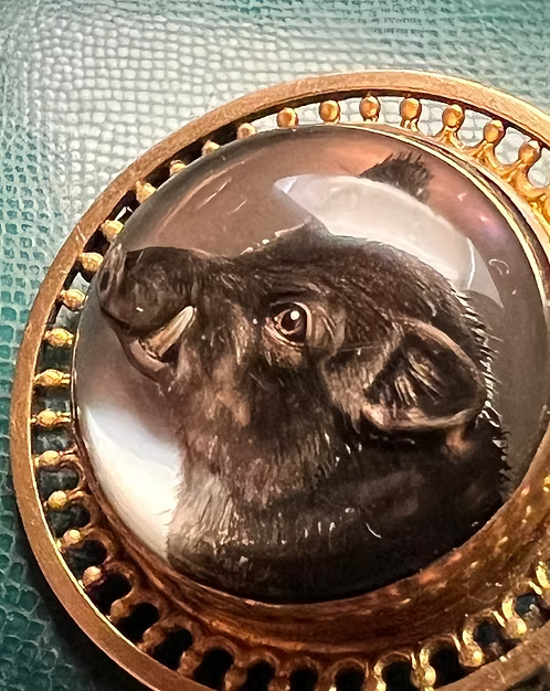 Wild Boar Essex Crystal