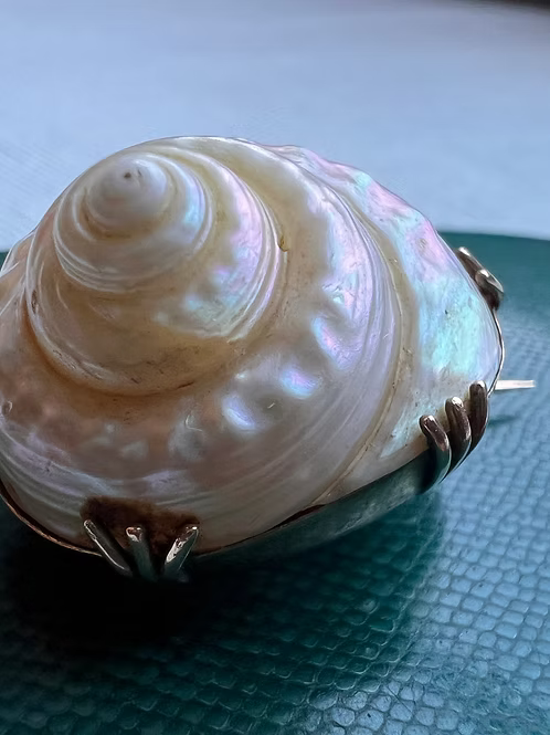 Sea Snail Mourning Brooch 1843