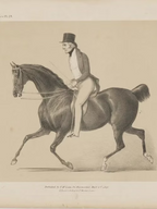 Marquess of Downshire’s Serpent