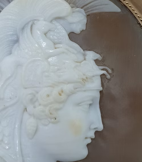 Minerva Shell Cameo c.1840