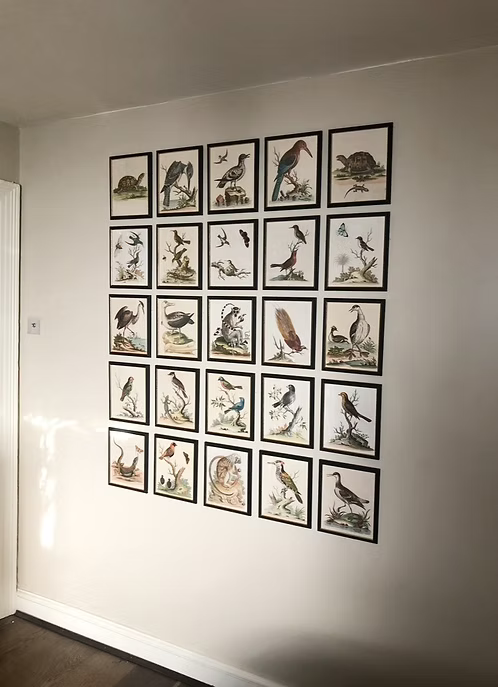 A Collection of Engravings by George Edwards