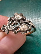 Rose Diamond Giardinetti