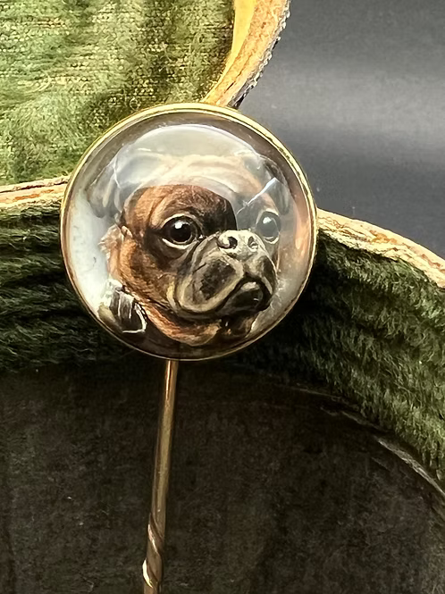 French Bulldog Essex