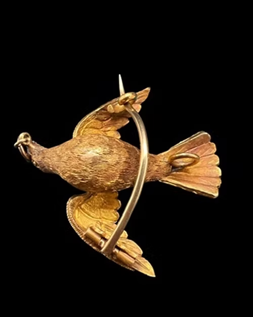 Early Victorian Dove