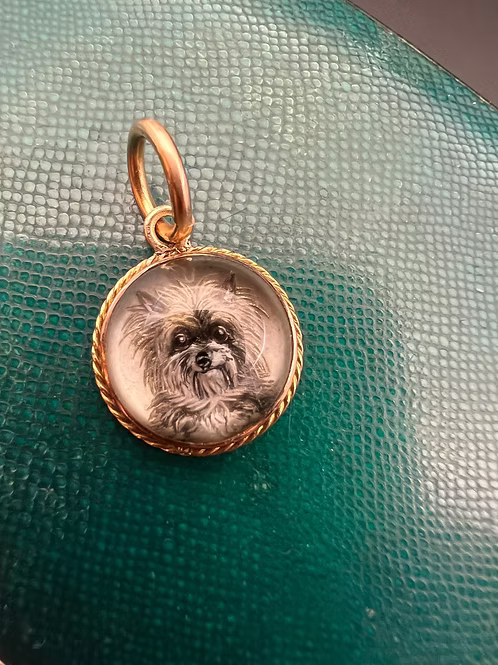 Tiny Terrier
