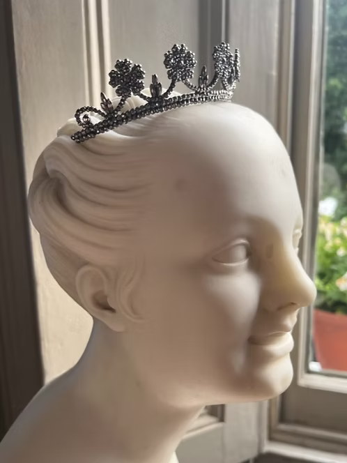 Wild Rose Steel Tiara