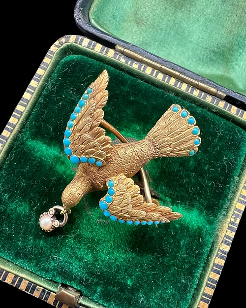 Early Victorian Dove