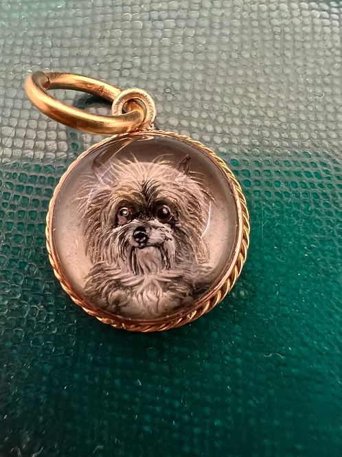 Tiny Terrier