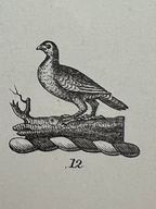 Bloodstone Signet c.1860