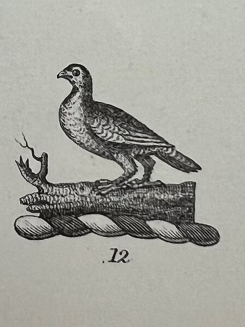Bloodstone Signet c.1860