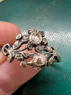 Rose Diamond Giardinetti