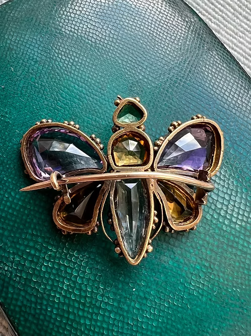 Georgian Harlequin Butterfly