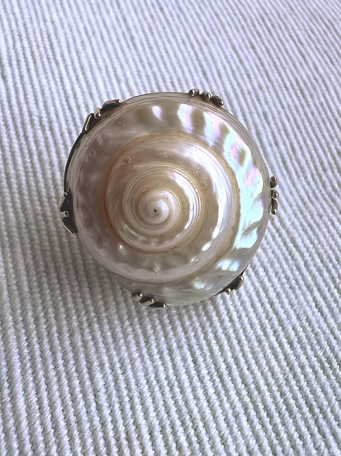 Sea Snail Mourning Brooch 1843