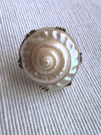 Sea Snail Mourning Brooch 1843