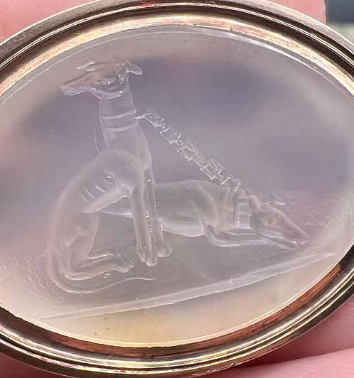 Georgian Greyhounds Seal