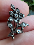 Diamond Sprig Lacepin