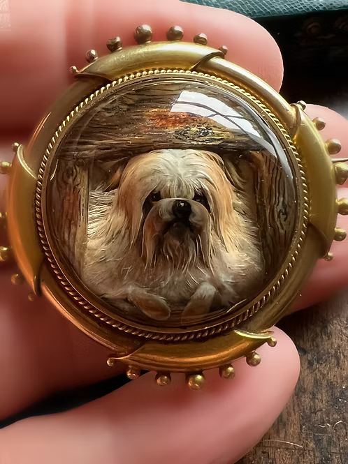 In the Doghouse