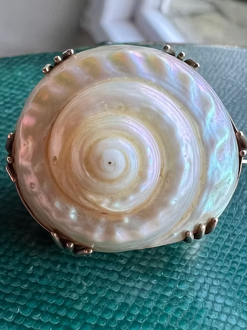 Sea Snail Mourning Brooch 1843