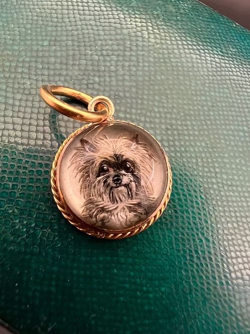 Tiny Terrier