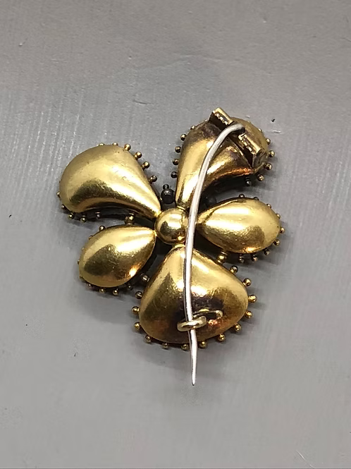 Georgian Pansy