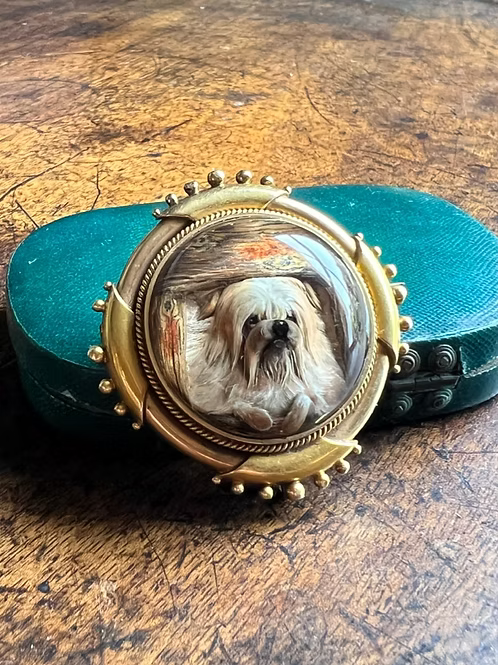 In the Doghouse