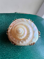 Sea Snail Mourning Brooch 1843