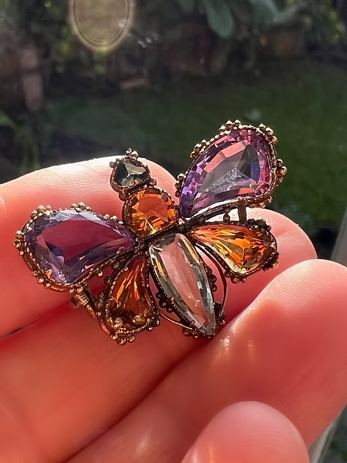 Georgian Harlequin Butterfly