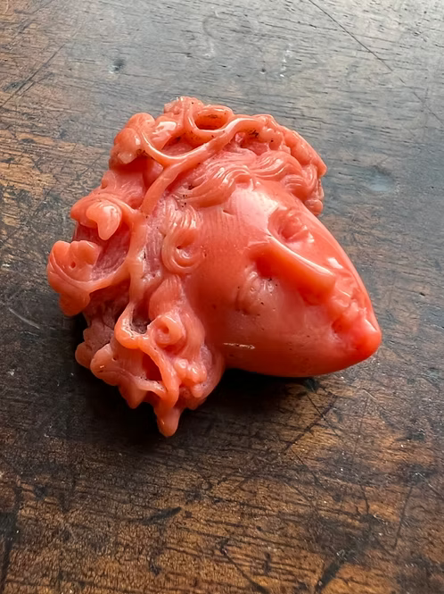 Coral Bacchante