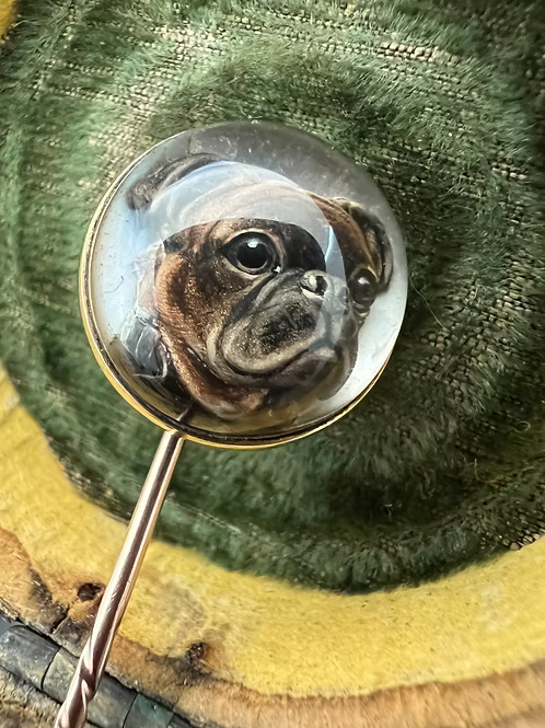 French Bulldog Essex