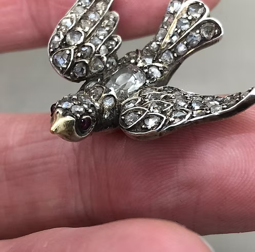 Diamond Dove