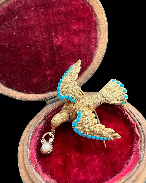 Early Victorian Dove