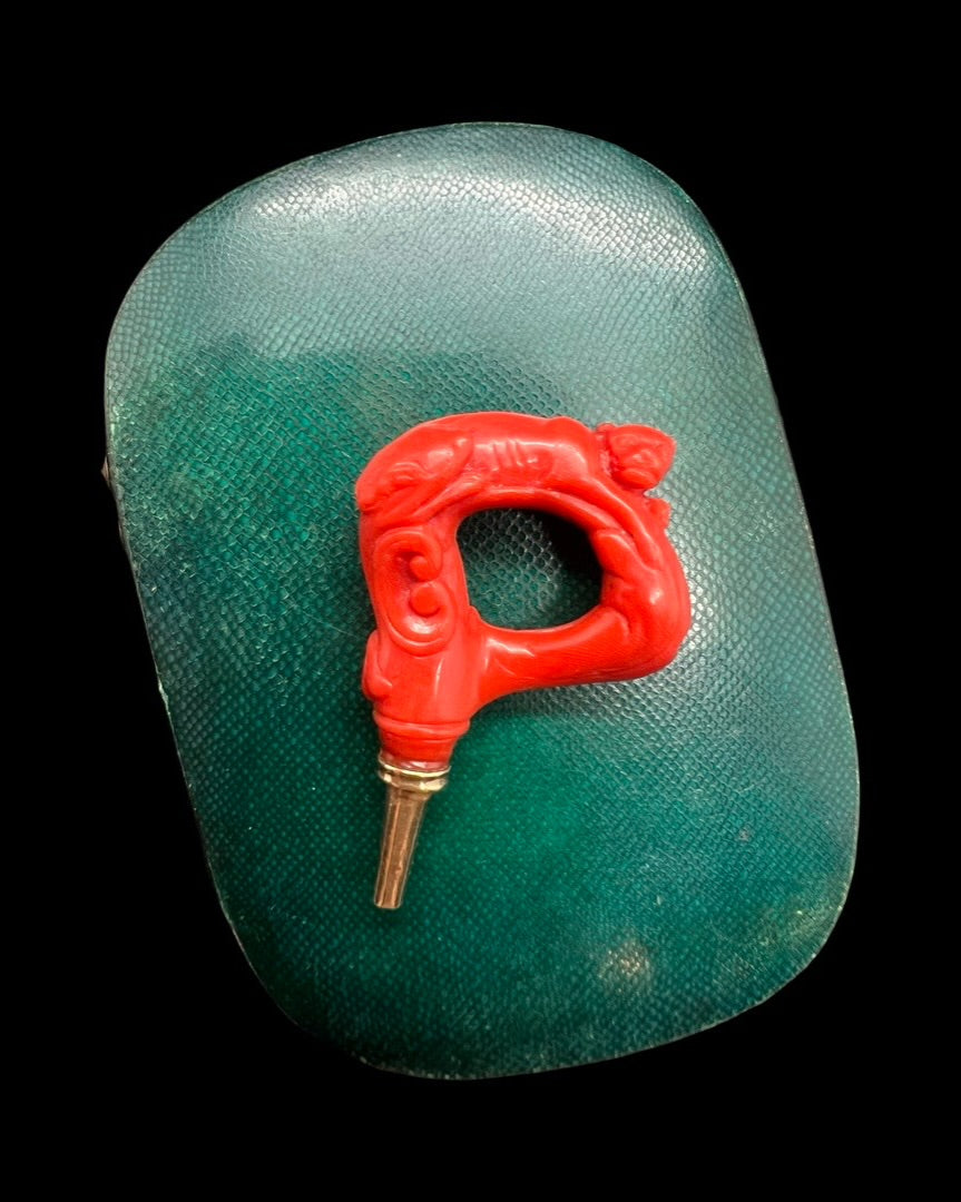 Georgian Coral Watch Key