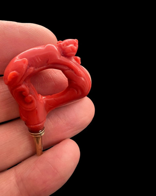 Georgian Coral Watch Key