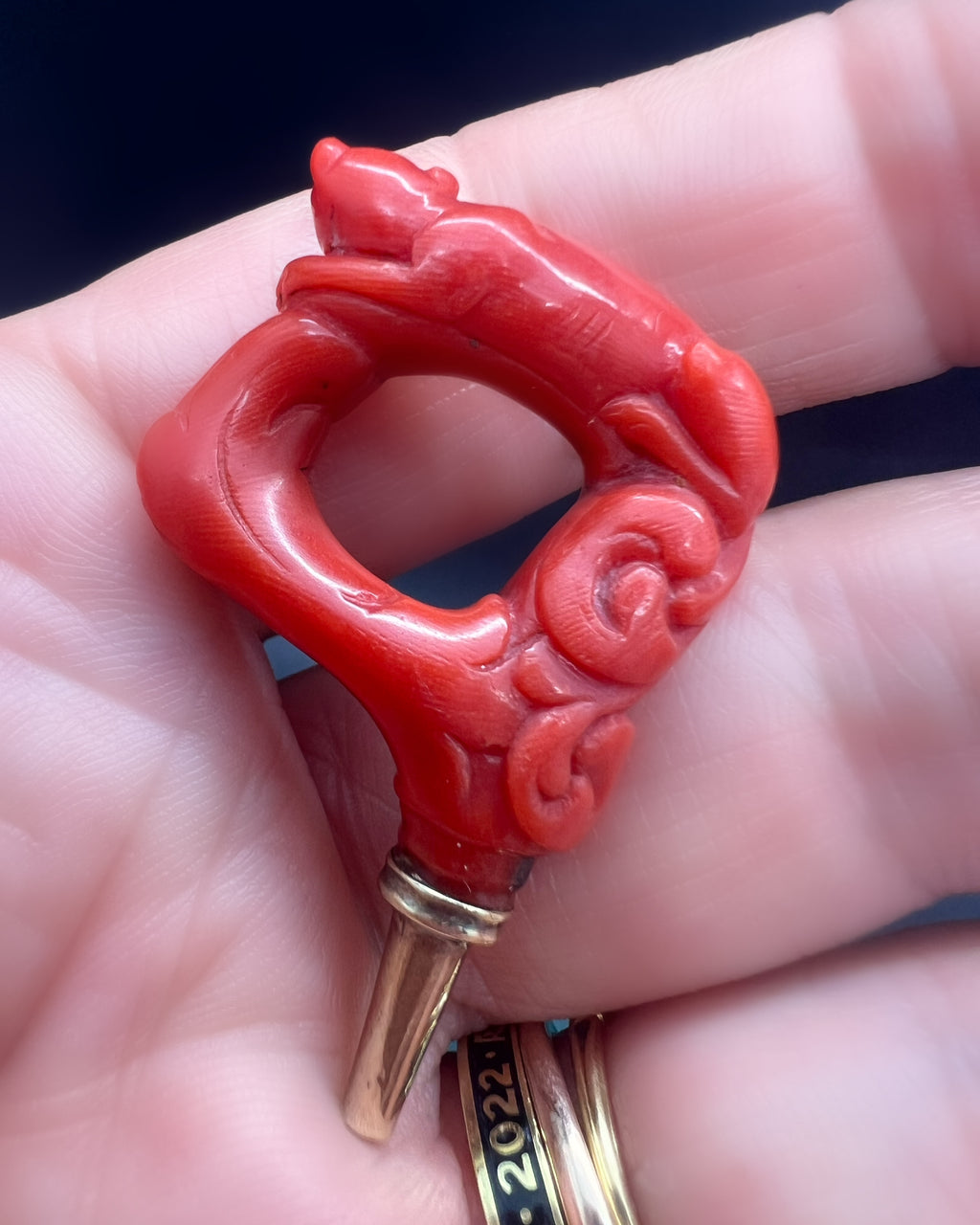 Georgian Coral Watch Key